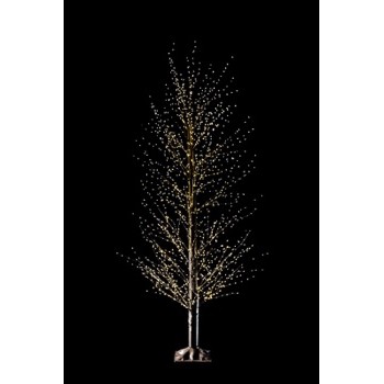 14373 8057586055407 105540 STAR decoro illuminato albero nero da esterno h210cm con 1700 microled bianco caldo 340 flash