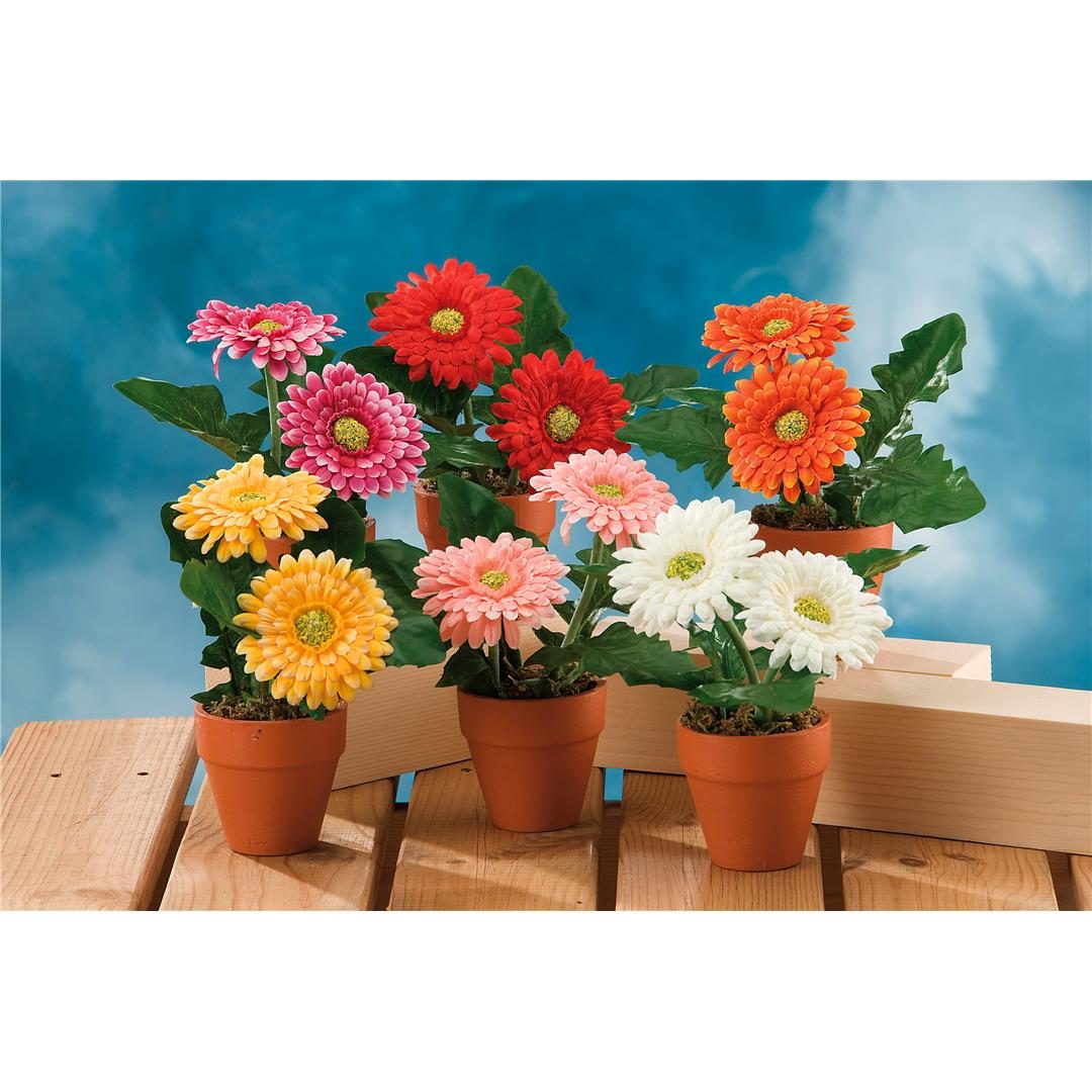 27805 8021785935662 93566 STAR VASOTTO FIORI GERBERA A6 Ø12XH18CM