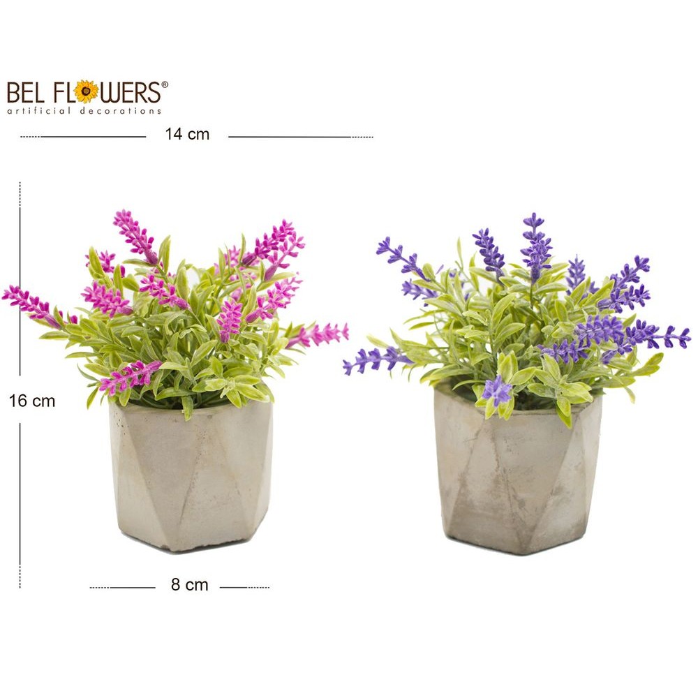 27810 8050260030882 BFSX011-03088 pianta con vasetto di cemento fiori di lavanda