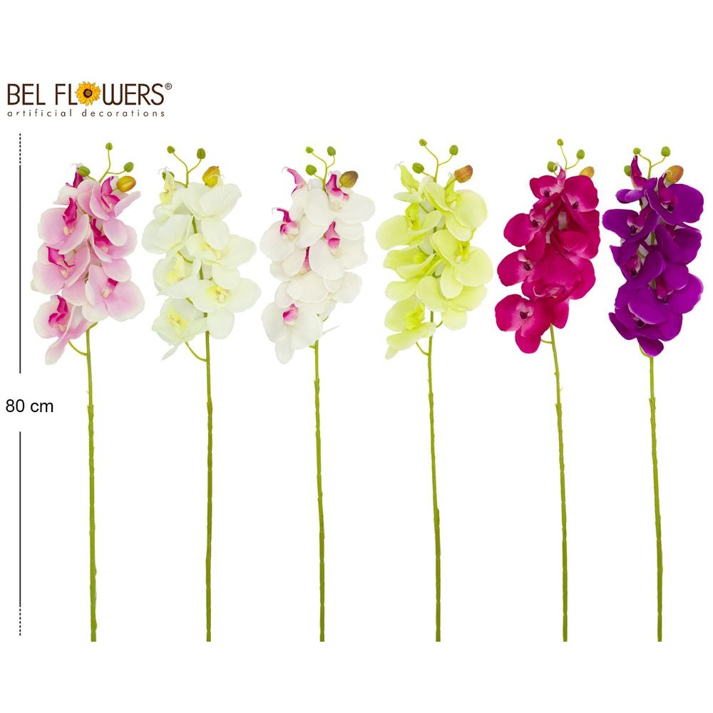 27811 8050260086742 BFFJ018-08674 ramo orchidea phalenophis 80cm