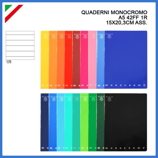 29044 8005235064096 0010370-1R QUADERNO A5 P.M.-VAR.1R MONOCROMO RIGHE UN RIGO