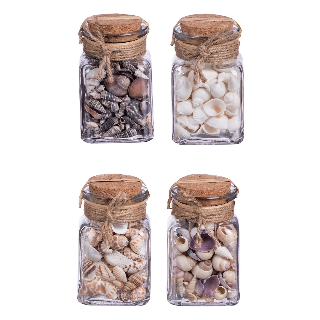 41126 8021785659087 65908 STAR decoro marina conchiglie in barattolo di vetro ass4mod 220gr