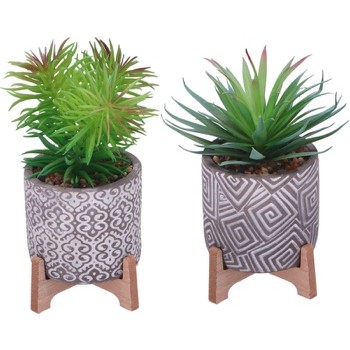 42001 8021785835382 83538 STAR pianta con vasetto grassa ø13x24cm