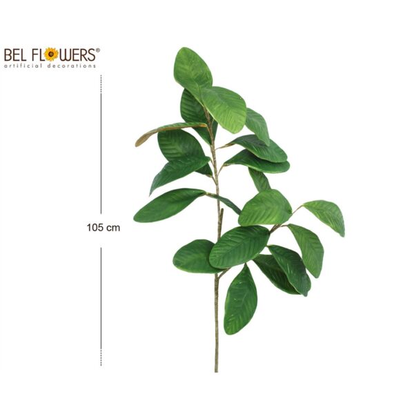 42009 8050260088975 #BEL# ramo foglie di magnolia x 20 h105cm