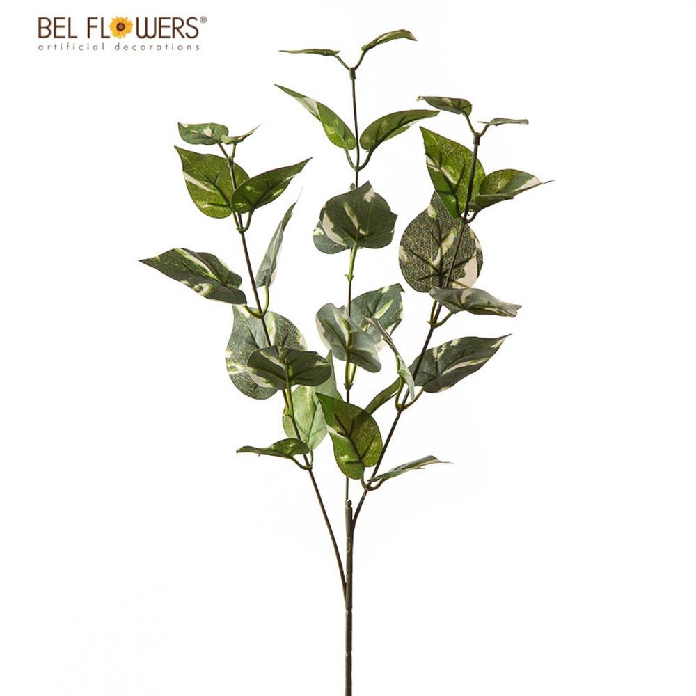 47501 8050260039441 BFKS002-03944 ramo pothos 70cm