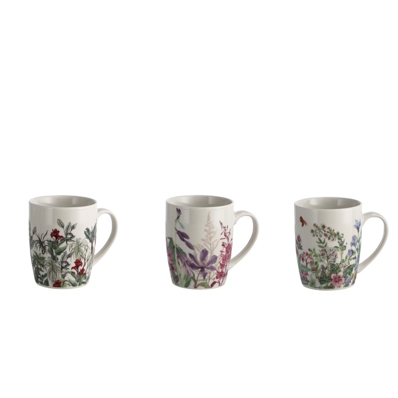 50062 8021785742659 74265 STAR tazza in ceramica new bone china ass3dec
