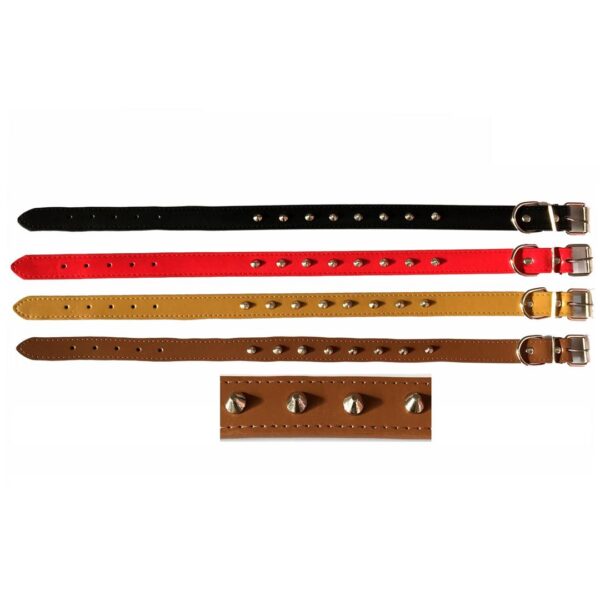 54732 8433298025585 BPS-2558 COLLARE PER CANE CON BORCHIE CM.2,5 X 55