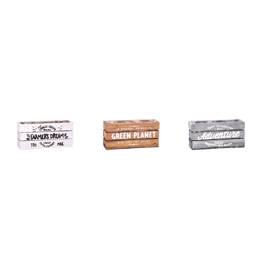 60210 8021785786493 78649 STAR cassetta in legno portapiante in 3 colori cm. 29x9xh13