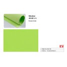 61220 8055769013909 PN563-3 foglio in gomma eva 40x60cm verde pistacchio