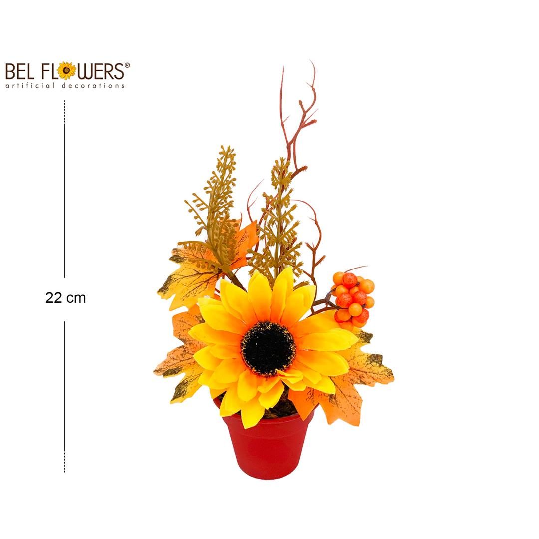 61537 8050260027257 BFSD149 PIANTINA AUTUNNO GIRASOLE CON VASO IN PLASTICA