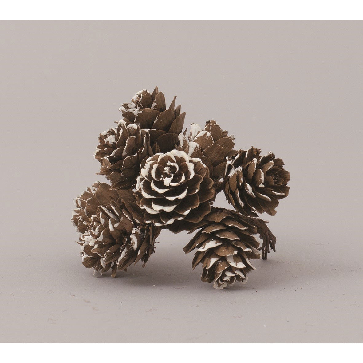 64713 8019959393356 FA-39335 addobbo fiore natalizio set10 pignette nevate 2.5cm