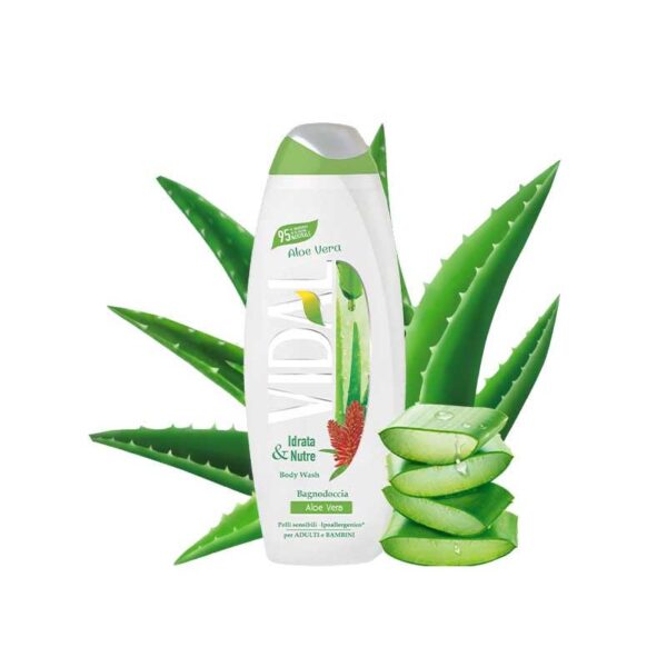 74313 8008970055534 049984 BAGNO 500ML VIDAL ALOE VERA