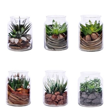77209 8057586005525 100552 STAR composizione piante grasso in vaso di vetro ø13cm h16cm