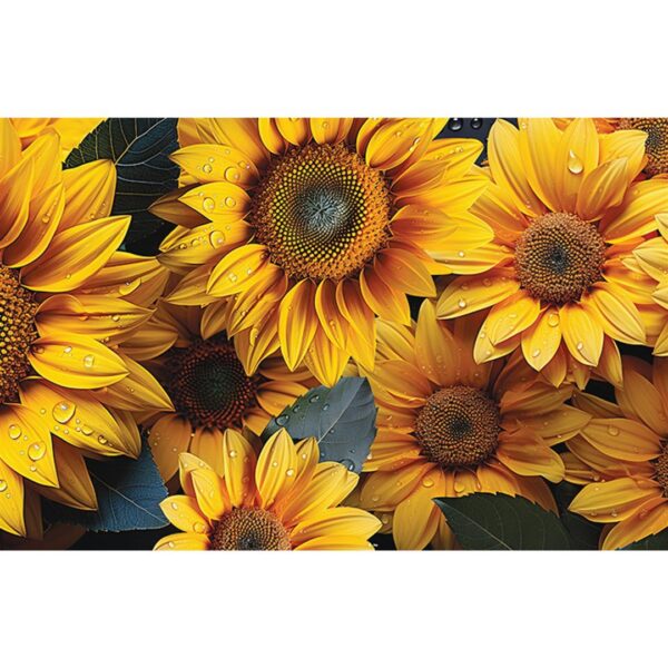 8946 8003768144506 TPT053.300B00101060 TAPPETO HAPPY GIRASOLI CM.-H52